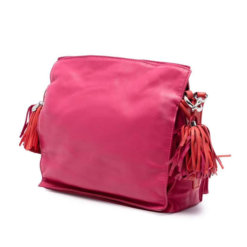 LOEWE Nappa Flamenco Tassel 22 Crossbody Pink Leather Very good condition - Back View