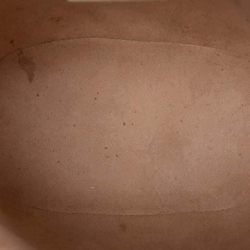 Gucci Mini GG Supreme Web Ophidia Bucket Bag Beige Very good condition - Model View