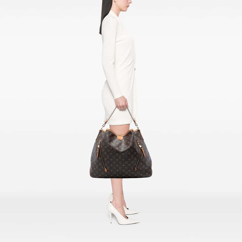 Louis Vuitton Monogram Delightful GM Brown Very good condition - Box View