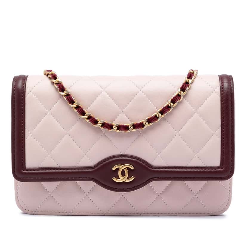 Chanel Mini Quilted Lambskin Two Tone Day Flap Pink Leather Very good condition - Front View