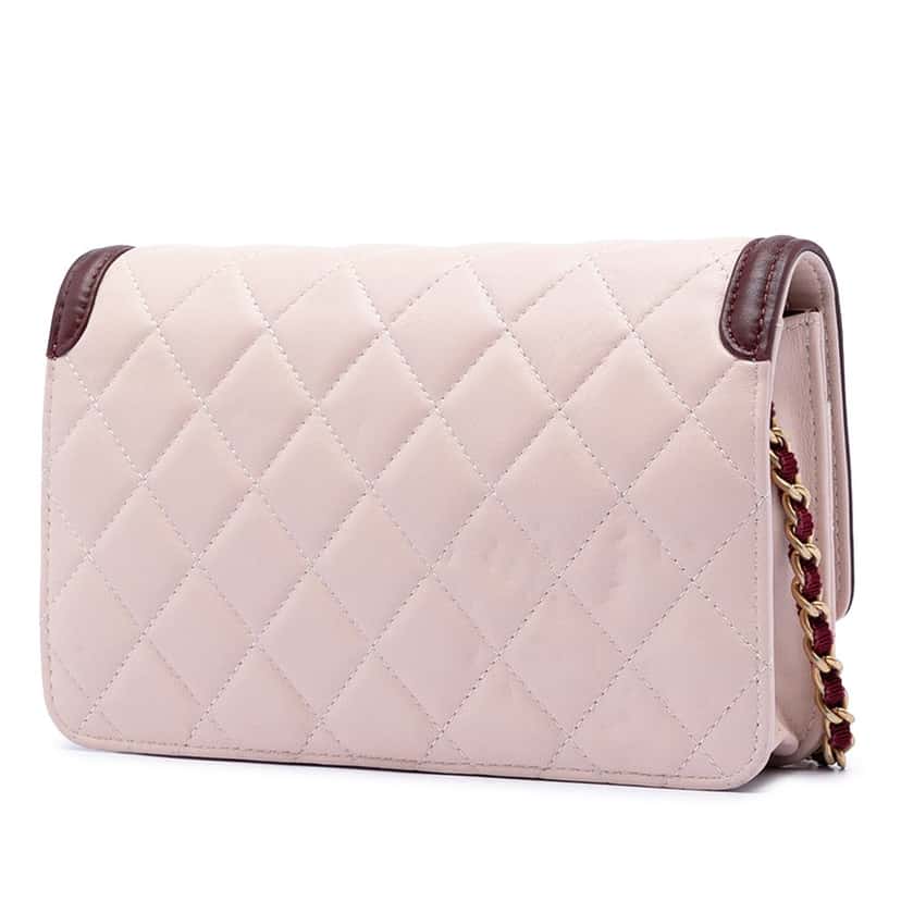 Chanel Mini Quilted Lambskin Two Tone Day Flap Pink Leather Very good condition - Back View