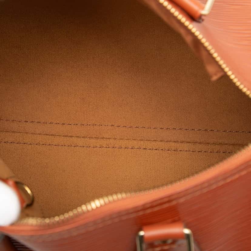 Louis Vuitton Epi Speedy 25 Brown Leather Very good condition - Model View