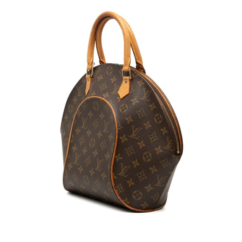 Louis Vuitton Monogram Ellipse MM Brown Good condition - Back View