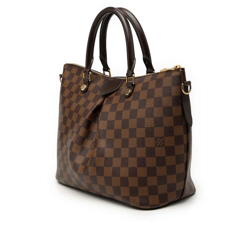Louis Vuitton Damier Ebene Siena MM Brown Very good condition - Back View