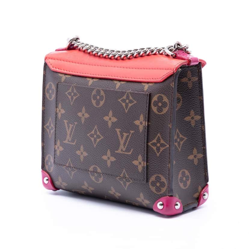 Louis Vuitton Monogram Tribal Mask Pochette PM Brown Very good condition - Back View