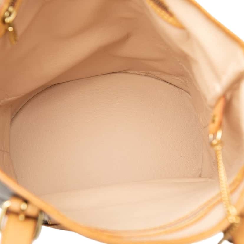 Louis Vuitton Monogram Bucket GM Brown Good condition - Model View