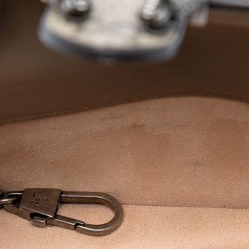 Gucci Mini GG Supreme Dionysus Crossbody Beige Very good condition - Model View