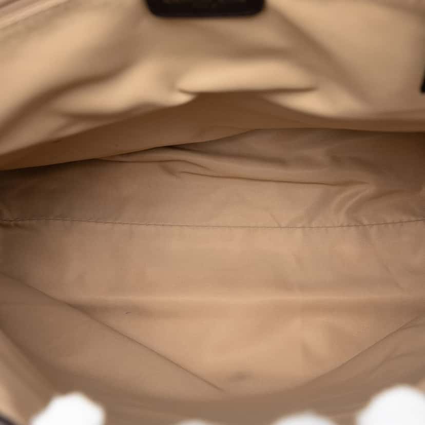 Dior Diorissimo Trotter Canvas Street Chic Crossbody Brown Very good condition - Model View