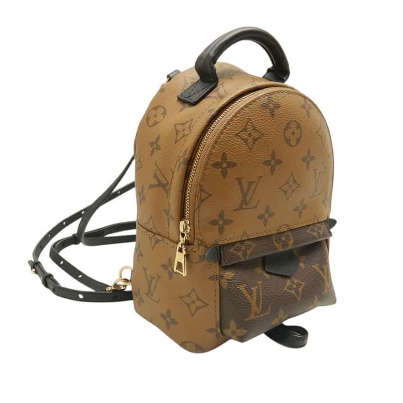 Louis Vuitton Monogram Reverse Mini Palm Springs Brown Very good condition - Back View