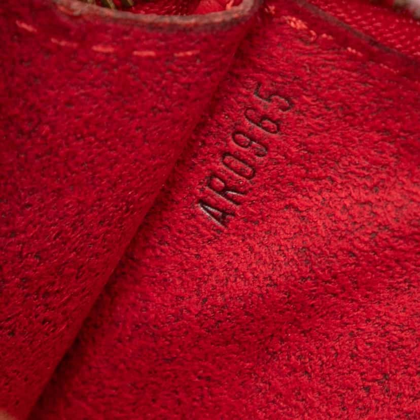 Louis Vuitton Epi Pochette Accessoires Red Leather Very good condition - Box View