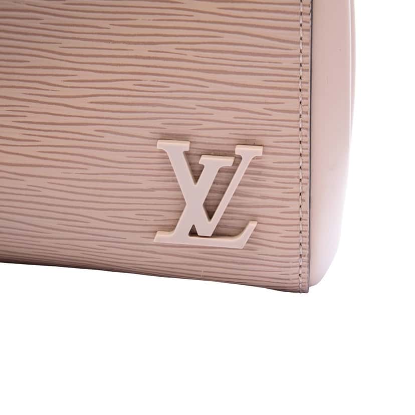 Louis Vuitton Epi Cluny BB Brown Leather Very good condition - Box View