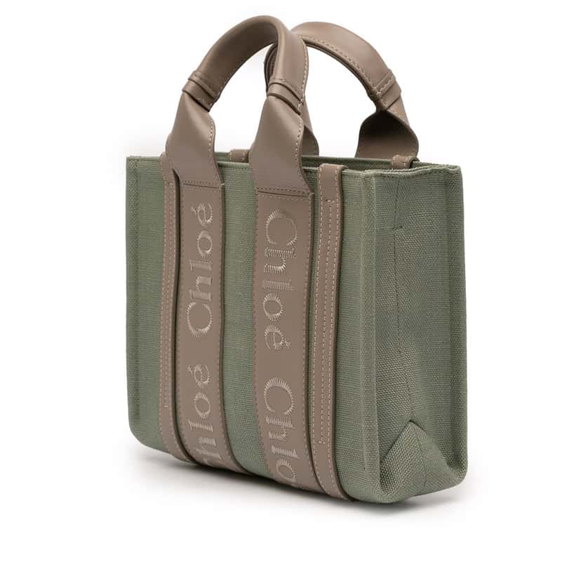Chloé Small Canvas Woody Tote Green Very good condition - Back View
