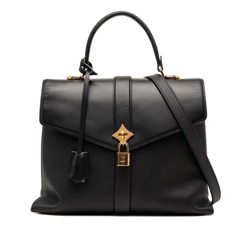Louis Vuitton Grained Smooth Calfskin Rose Des Vents MM Black Leather Very good condition - Front View