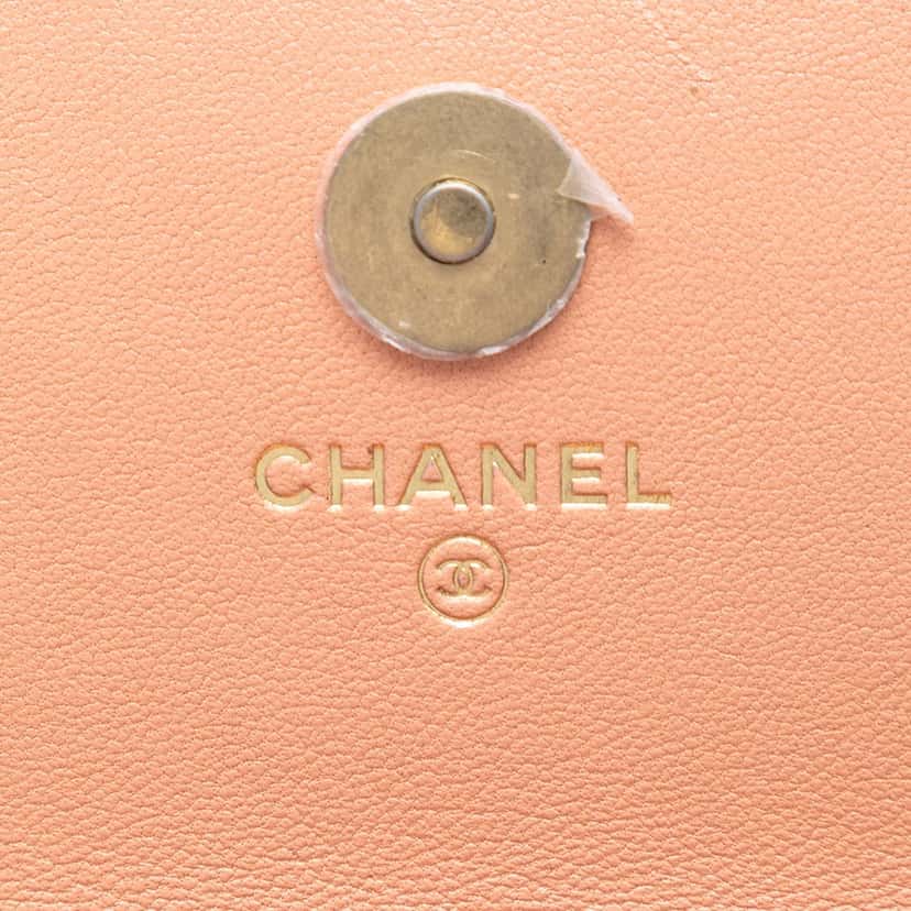 Chanel Quilted Lambskin 19 Clutch with Chain Pink Leather Very good condition - Box View
