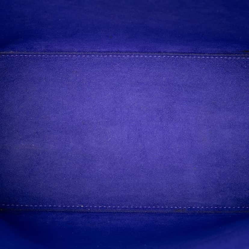 Louis Vuitton Epi Neverfull PM Purple Leather Very good condition - Model View