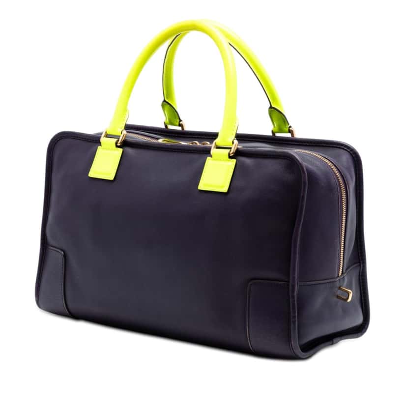 Loewe Special Edition Bicolor Goatskin Amazona 36 Purple Leather Very good condition - Back View