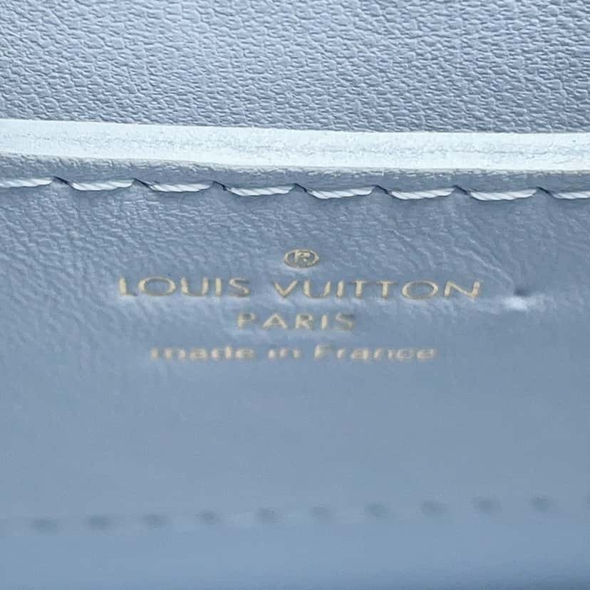 Louis Vuitton Taurillon Twist One Handle PM Brown Leather Very good condition - Box View
