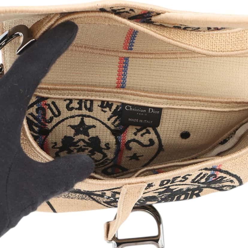 Dior Jute Union Embroidered Saddle Bag Beige Very good condition - Model View