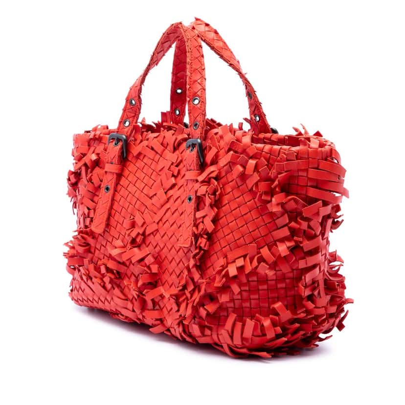Bottega Veneta Nappa Intrecciato Patchwork Lido Fringe Tote Orange Leather Very good condition - Back View