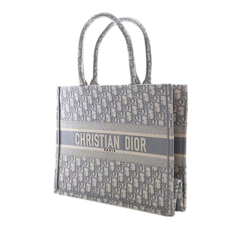 Dior Medium Oblique Embroidered Canvas Book Tote Other Very good condition - Model View