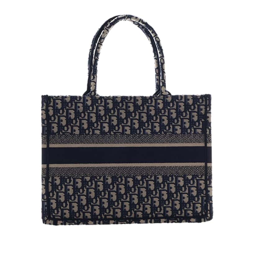 Dior Medium Oblique Embroidered Canvas Book Tote Blue Never worn - Model View