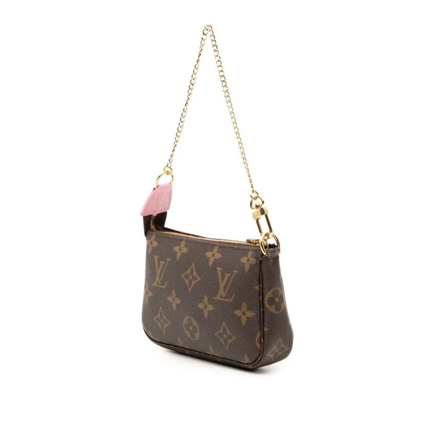 Louis Vuitton Monogram Vivienne in Paris Mini Pochette Accessoires Brown Very good condition - Back View