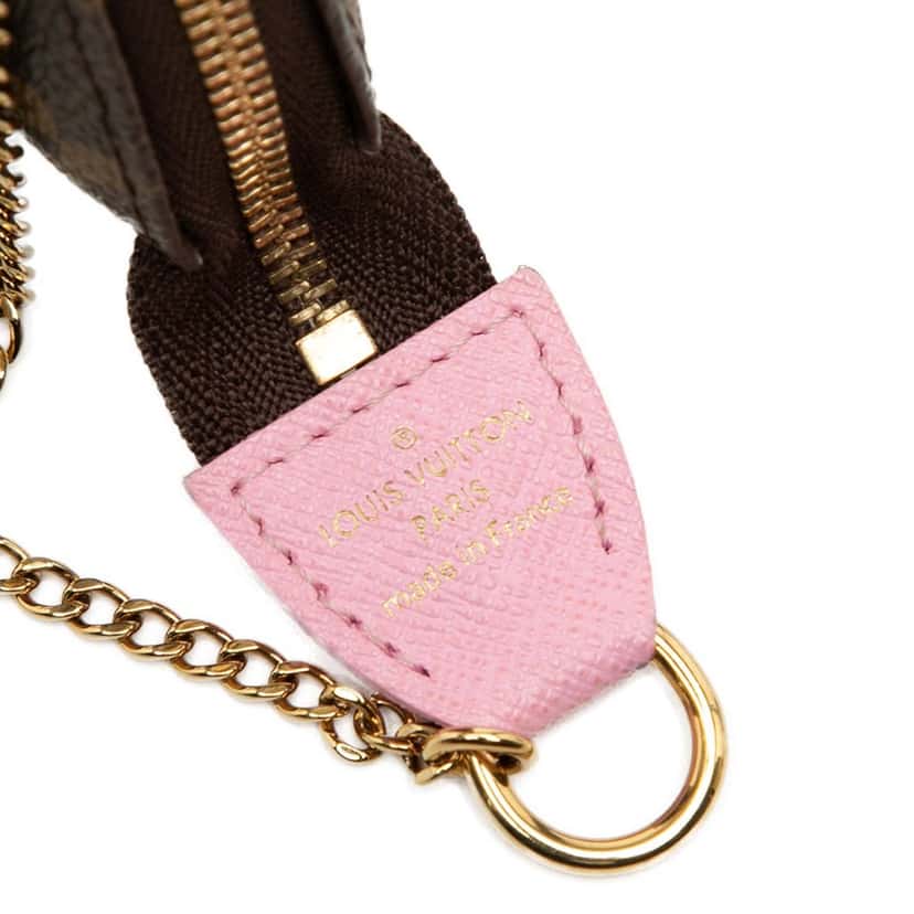 Louis Vuitton Monogram Vivienne in Paris Mini Pochette Accessoires Brown Very good condition - Box View