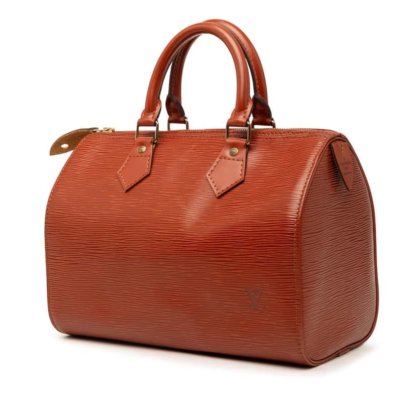 Louis Vuitton Epi Speedy 25 Brown Leather Very good condition - Back View