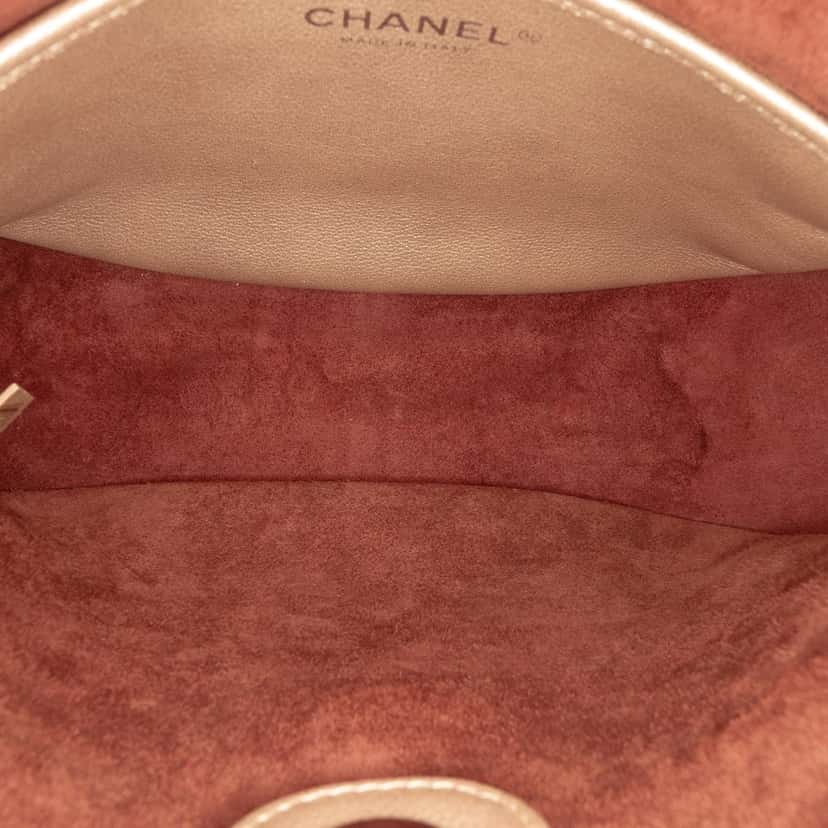 Chanel Small Quilted Metallic Calfskin Jungle Stroll Hobo Pink Leather Very good condition - Model View
