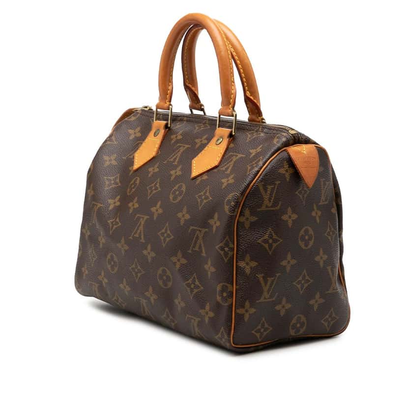 Louis Vuitton Monogram Speedy 25 Brown Very good condition - Back View