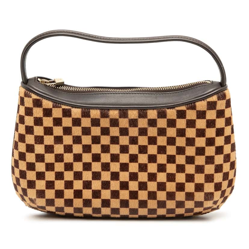 Louis Vuitton Damier Sauvage Tigre Brown Very good condition - Front View