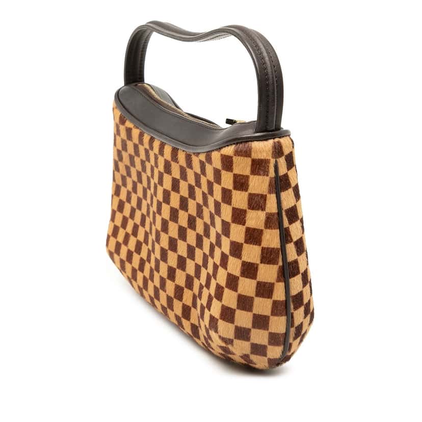 Louis Vuitton Damier Sauvage Tigre Brown Very good condition - Back View