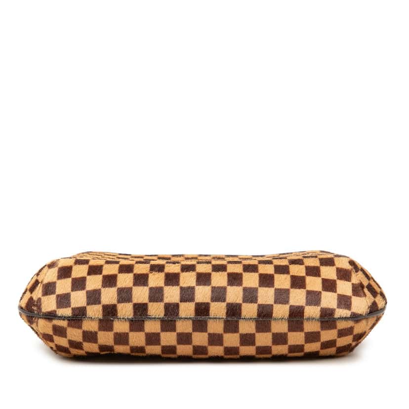 Louis Vuitton Damier Sauvage Tigre Brown Very good condition - Inside View