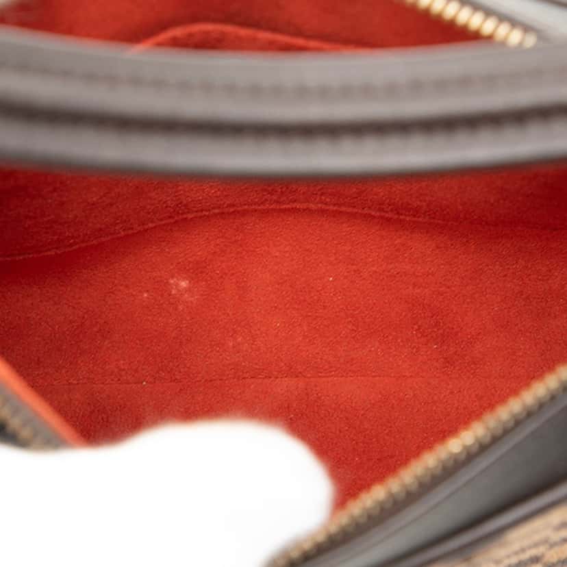 Louis Vuitton Damier Sauvage Tigre Brown Very good condition - Model View