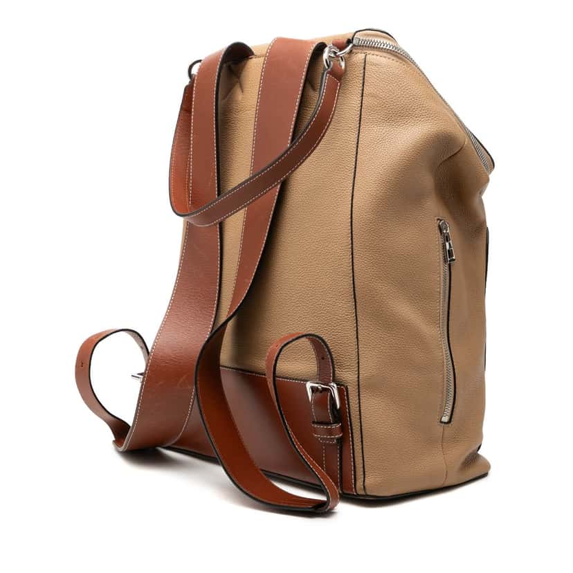 Loewe Paulas Ibiza Large Leather Lion and Floral Print Goya Backpack Brown Very good condition - Back View