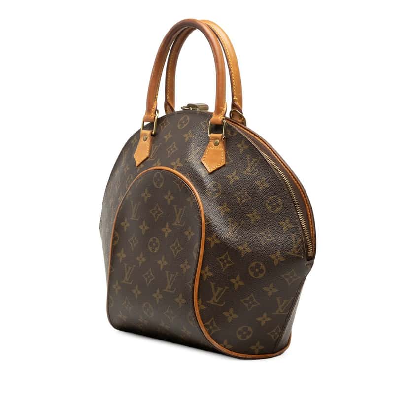 Louis Vuitton Monogram Ellipse MM Brown Good condition - Back View
