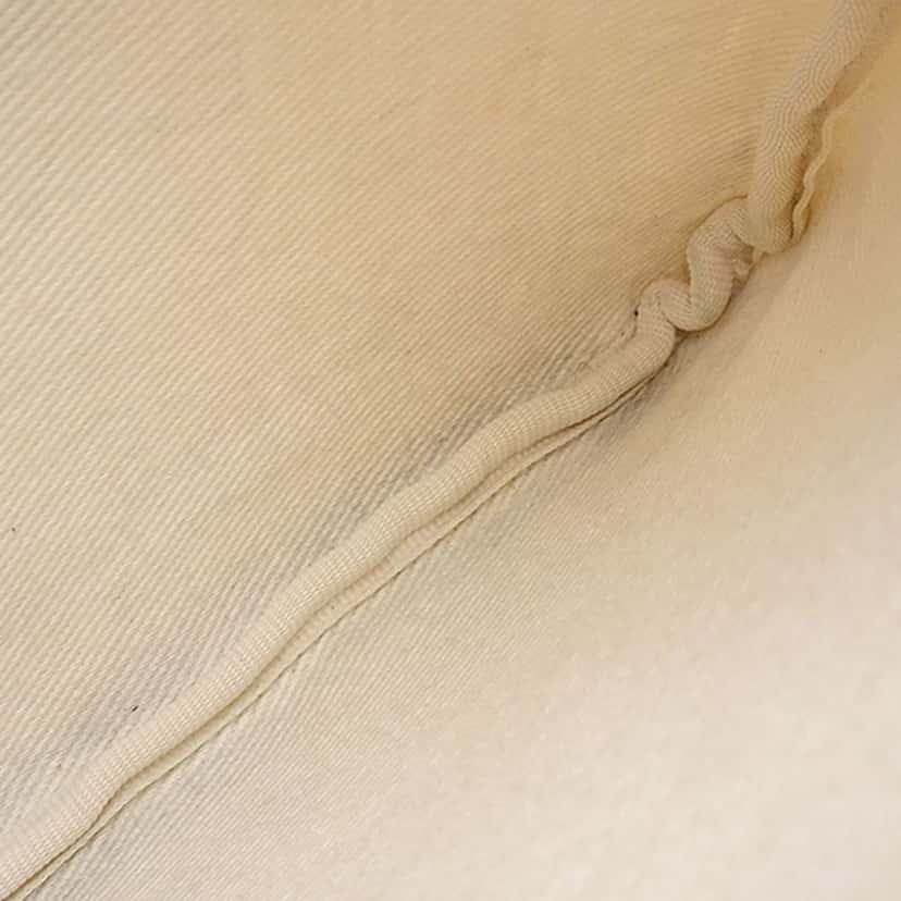 Bvlgari Logomania Canvas Crossbody Beige Very good condition - Model View