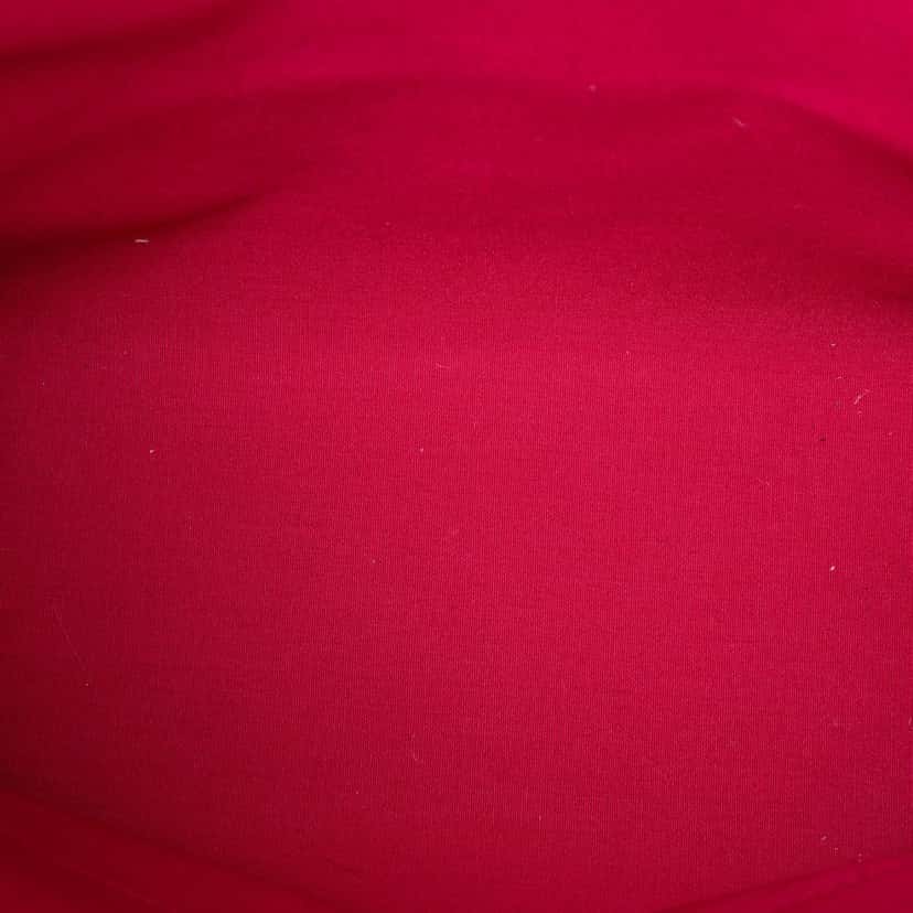 Louis Vuitton Monogram Vernis Catalina NS Red Leather Very good condition - Model View