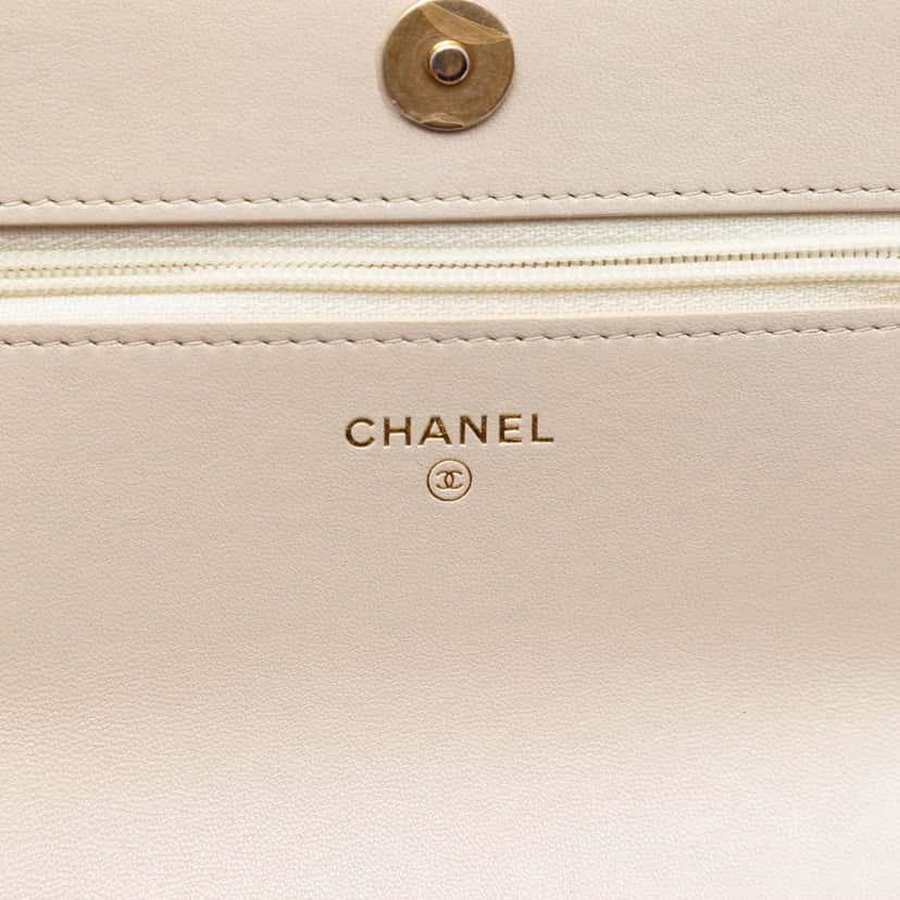 Chanel Quilted Lambskin 19 Wallet on Chain Brown Leather Very good condition - Box View