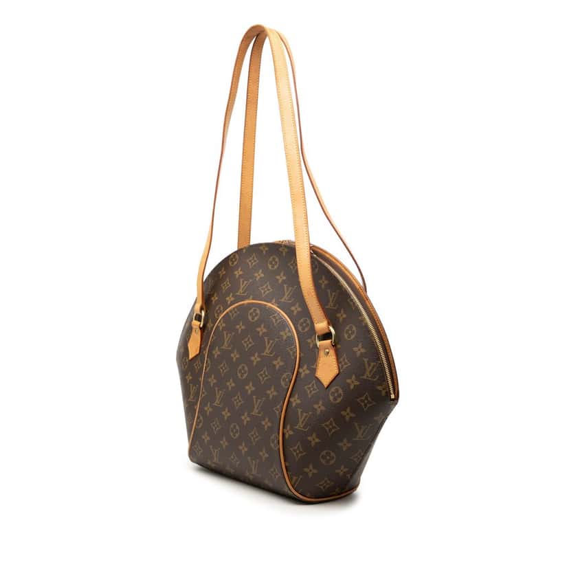 Louis Vuitton Monogram Ellipse GM Shopping Bag Brown Very good condition - Back View