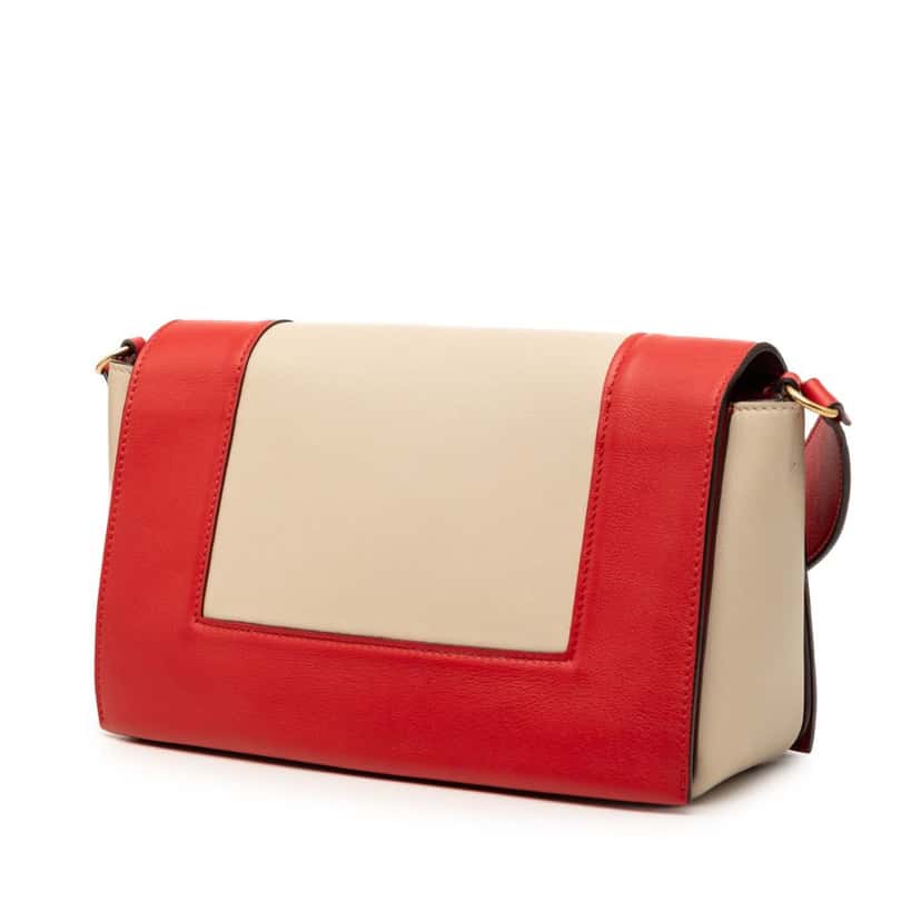 Celine Medium Shiny Smooth Calfskin Frame Shoulder Bag Beige Leather Very good condition - Back View