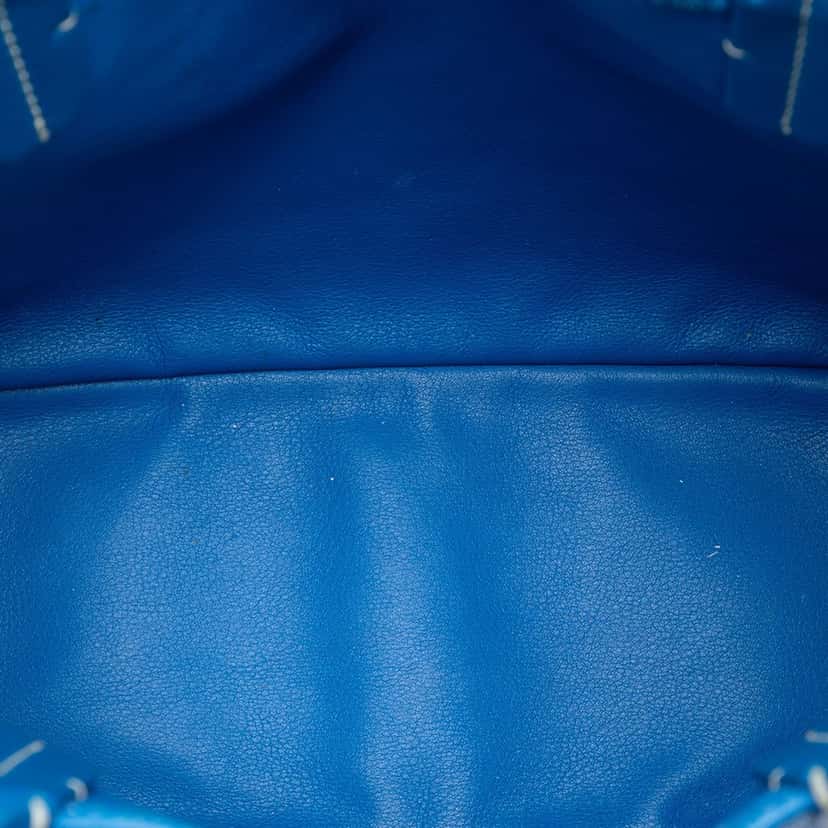 Goyard Mini Goyardine Reversible Anjou Blue Very good condition - Model View