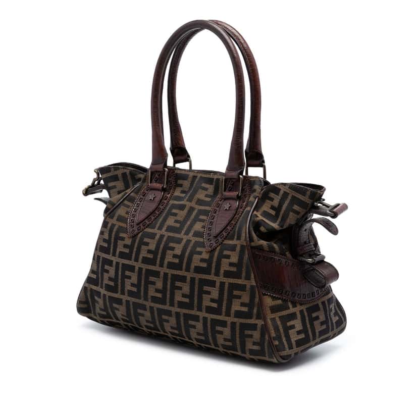 Fendi Zucca Canvas Etniko Handbag Brown Very good condition - Back View