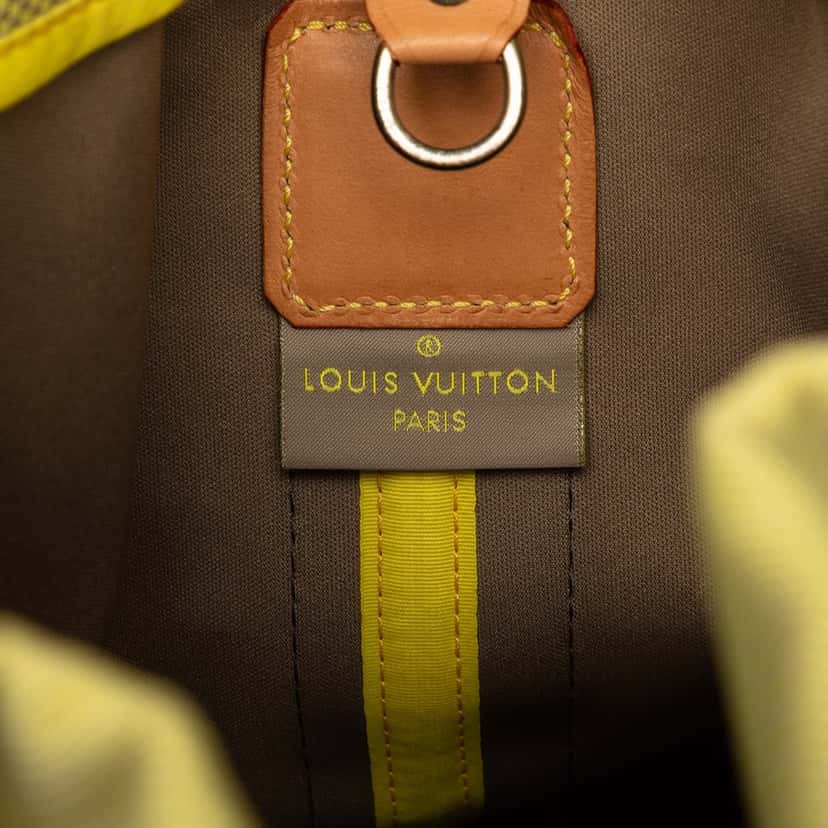 Louis Vuitton Damier Geant LV Cup Volunteer Green Very good condition - Box View