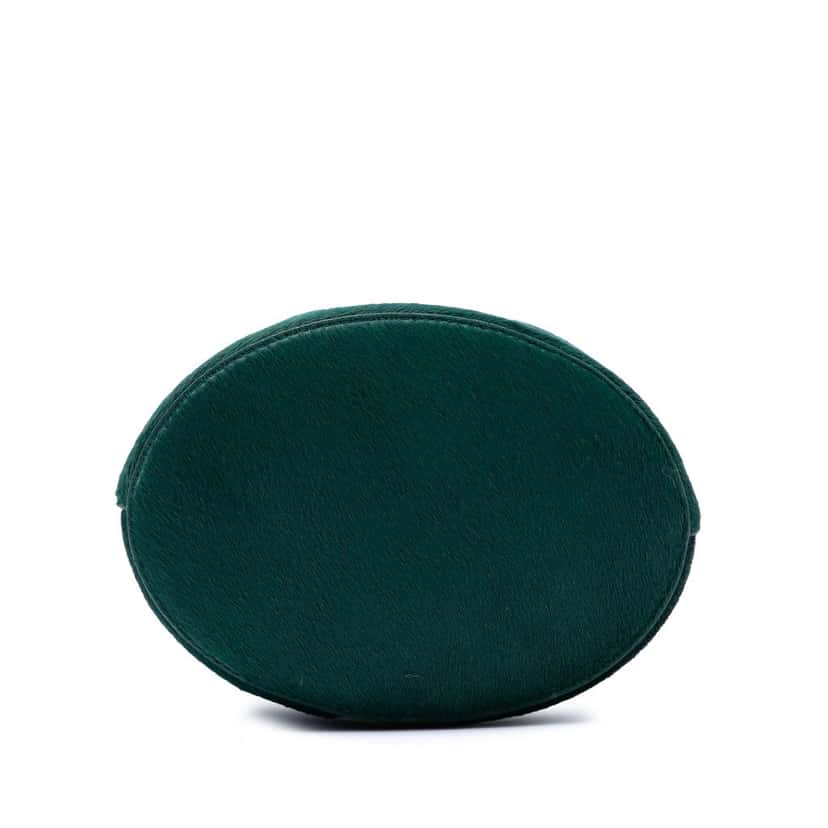 Bottega Veneta Small Pony Hair Drop Bucket Bag Green Very good condition - Inside View