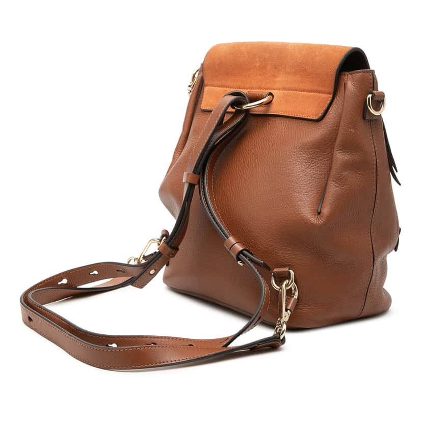 Chloé Medium Calfskin and Suede Faye Backpack Brown Leather Very good condition - Back View