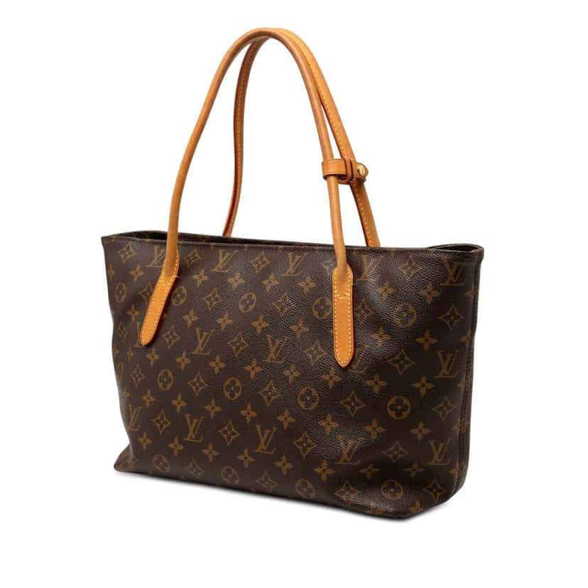 Louis Vuitton Monogram Raspail PM Brown Very good condition - Back View