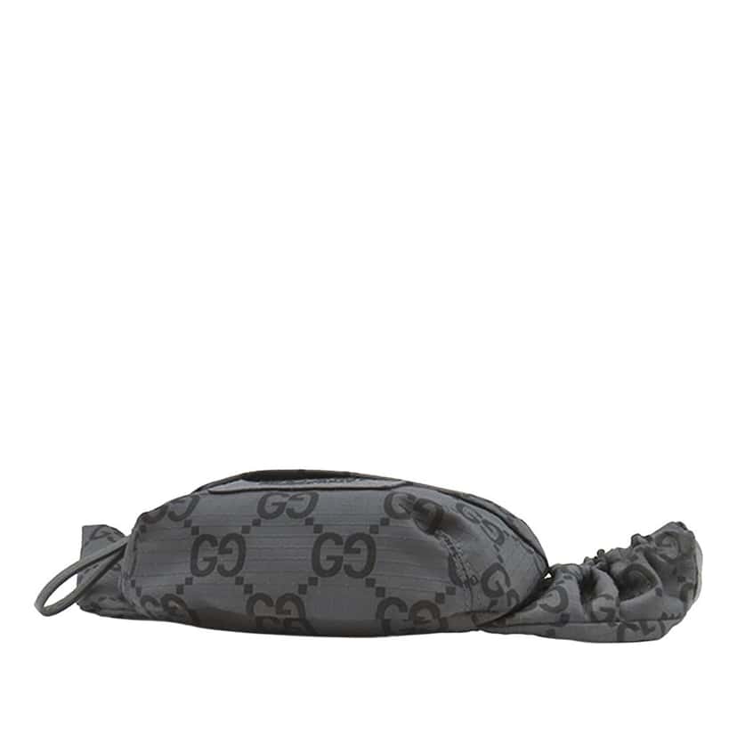 Gucci GG Nylon Ripstop Belt Bag Other Very good condition - Inside View
