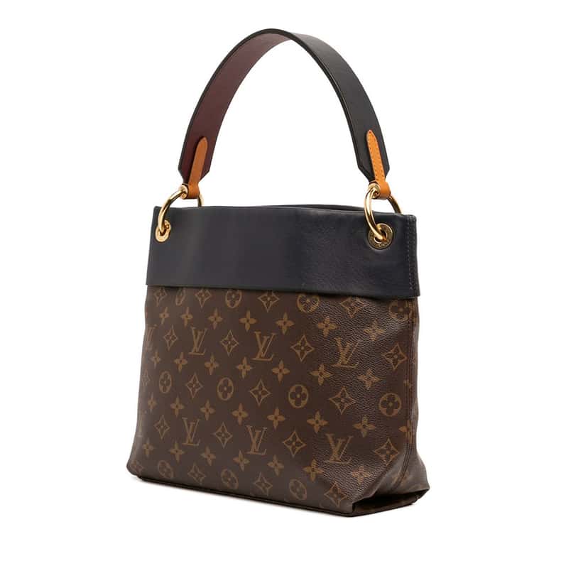 Louis Vuitton Monogram Tuileries Besace Brown Very good condition - Back View