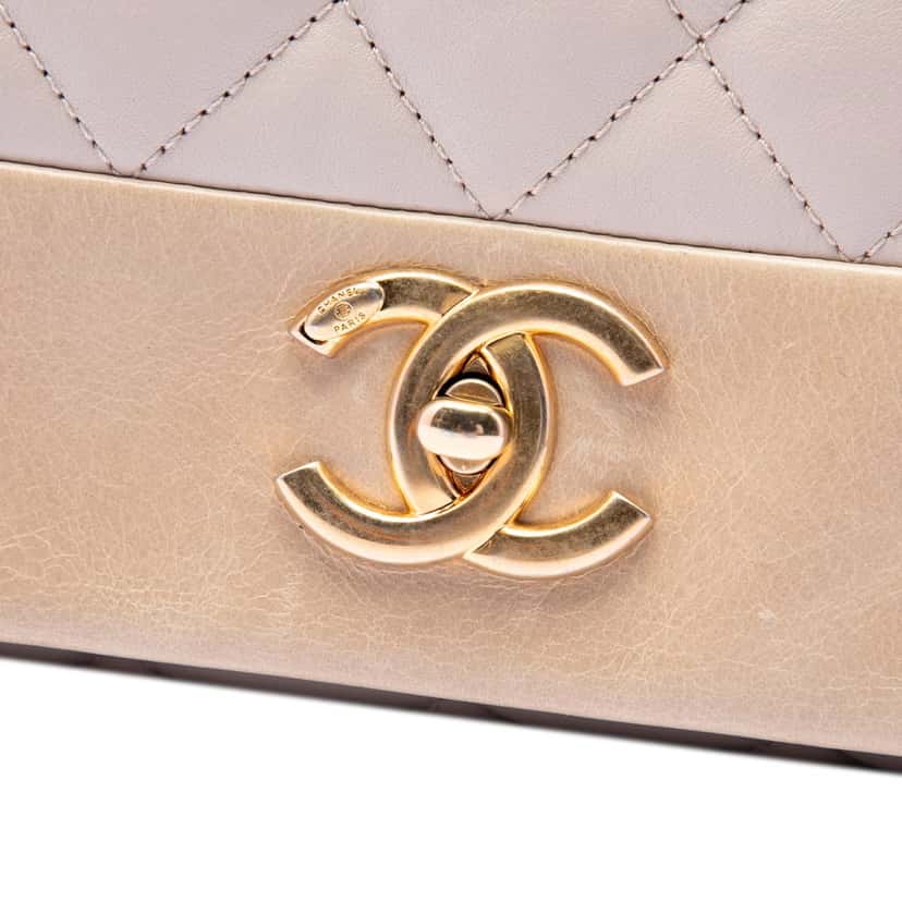 Chanel Medium Quilted Lambskin Soft Elegance Flap Brown Leather Very good condition - Box View